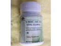uric-acid-support-for-muscle-discomfort-in-rochor-in-singapore-call-27710732372-uric-acid-for-muscle-pains-in-gqeberha-south-africa-small-4