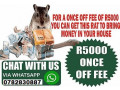 money-specialist-novena-town-in-singapore-call-27782830887-financial-freedom-in-pietermaritzburg-south-africa-small-1