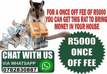 money-specialist-novena-town-in-singapore-call-27782830887-financial-freedom-in-pietermaritzburg-south-africa-big-1
