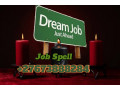 24hours-guarantee-job-spell-to-get-your-dream-job-call-27673888284-small-0