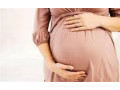 27764410726-abortion-clinic-in-mount-fletcher-nelspruit-newcastle-nquthu-nylstroom-paarl-paulpietersburg-pietermaritzburg-small-0