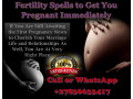 are-you-without-a-child-best-fertility-spells-to-get-pregnant-in-3-weeks-quick-spells-that-work-for-fertility-whatsapp-27836633417-small-0