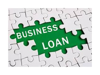 FINANCIAL LOAN SERVICE AND FINANCIAL LOAN COMPANY LOAN