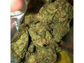 whatsapp447455091589-buy-mushroomcocaineweedthc-syrupmdmalsd-in-waleslondonukswedengermanyaustraliabelgium-small-0