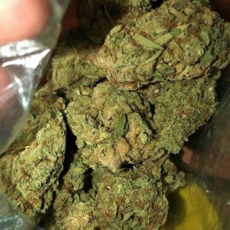 whatsapp447455091589telegram-at-plug-bud1-buy-mushroomcocaineweedthc-syrupmdmalsd-in-united-kingdomgermanyall-europe-big-0