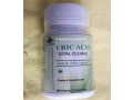 27710732372-buy-uric-acid-for-muscle-pains-in-satellite-beach-city-in-florida-and-gqeberha-city-in-south-africa-small-3