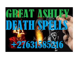 WORLD FAMOUS VOODOO DEATH SPELL CASTER +27631585216