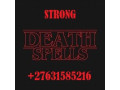 27631585216-bayville-ny-death-spells-caster-small-0